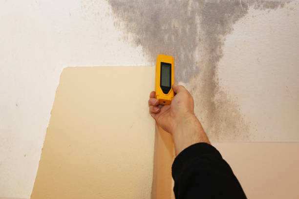Mold Remediation for Vacation Homes in Lilburn, GA