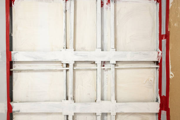 Forensic Mold Investigation in Lilburn, GA