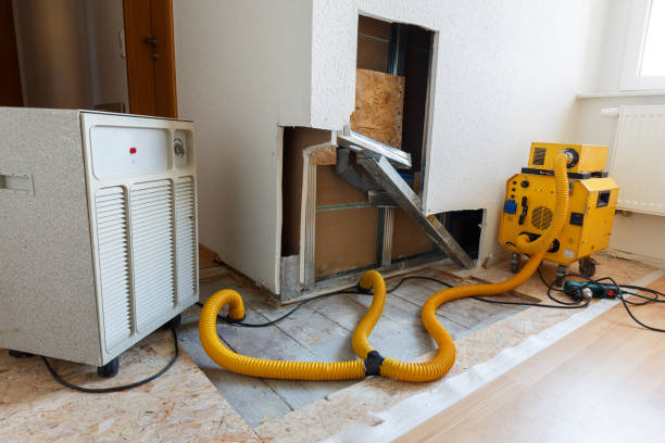 Best Mold Damage Restoration  in Lilburn, GA