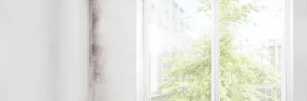 Best Mold Documentation for Insurance Claims  in Lilburn, GA