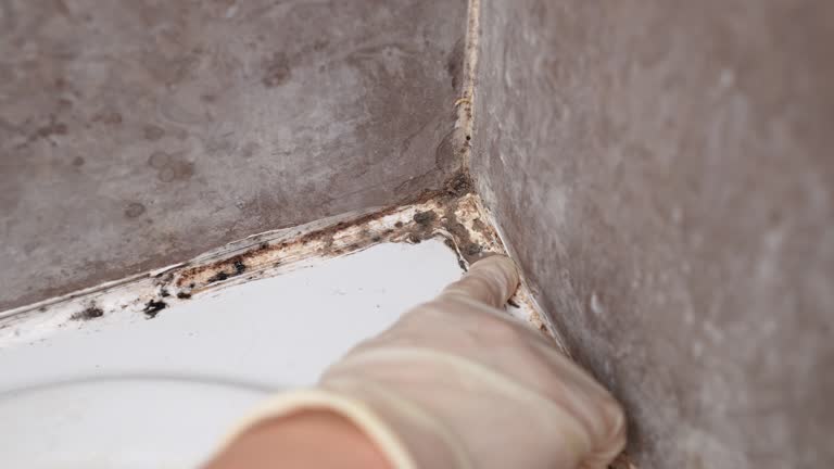 Best Airborne Mold Testing  in Lilburn, GA
